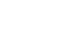 logo-amix-blanco